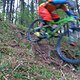 IMG 0828-ck