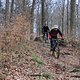 IMG 5241