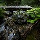 Eine schmale Holzbrücke überspannt den namenlosen Bach kurz unterhalb 
der Burgruine Belfort.