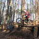 IMG 1694
