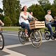 Critical Mass 1708 7117b