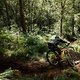 scott-sports-chasing-trail-brendan-fairclough-mtb-bike-actionimage-2020-042A6778-CREDIT-tomgphoto