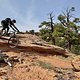 Whole Enchilada, Moab, Utah - Upper Porcupine Trail 20200918 193519854 iOS