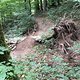 Baumüberquerung Hägnach-Trail gefixed