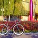 Colnago Master Olympic -8