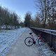 IMG 2487