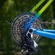 Sea Otter Classic Tag1-158