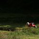 IMG 5881