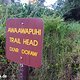 Das wäre noch ein geiler Trail: Der Awa Awapuhi Trail. Führt Bergab zu einem Hammer Aussichtspunkt, dann umdrehen und anspruchsvoll bergauf.