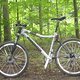 Cannondale Scalpel Chaingang