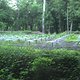 2012-05-07 20-15-19 270