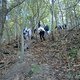 SpookyWanderung025