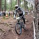 IMG 1223