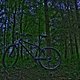 HDR WOOD
