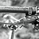 DSC02862