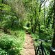 Schönberg Trail