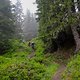 ... verwandelte sich der Weg in einen super-spaßigen Singletrail.