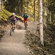 Ein Bikepark bietet für gewöhnlich ein Netz an Strecken, das mithilfe einer Transportmöglichkeit nach oben viele Abfahrten an einem Tag ermöglicht