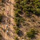 Lachlan Morton &amp; Kenneth Karaya of EF Education-Nippo lead Ben Zwiehoff &amp; Lennard Kämna of BORA-hansgrohe during stage 4 of the 2021 Absa Cape Epic Mountain Bike stage race from Saronsberg in Tulbagh to CPUT in Wellington, South Africa on the 21th Oc