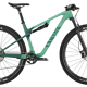 Canyon Lux World Cup CF 6 in der Race Green Lackierung