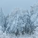 Frozen Rennsteig 7