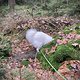 IMG 5160