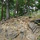 DSC00439