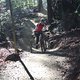 IMG 3323