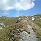 Trail5