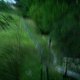 DSC00034