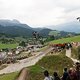 IMG 2441