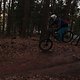 IMG 1294
