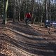IMG 1863