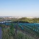 REHAWien (32)