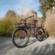 L1000052 (MTB-News)