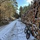 Noch ein bisschen den Schnee genießen