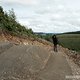 DSC08543 B
