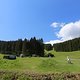 IMG 9747