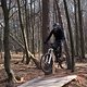 Bike Beerfelden P 219