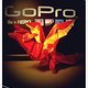 Origami &amp; GoPro