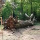 DSCF3718b