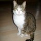 Kater0117