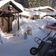 oberhof1