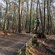 IMG 1911