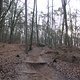 IMG 1516