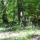 DSC02794