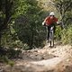 canyon-spectral-action-91066