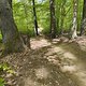 Gratis Wurzeltrail