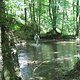 IMG 0053