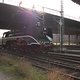 IMG 3164